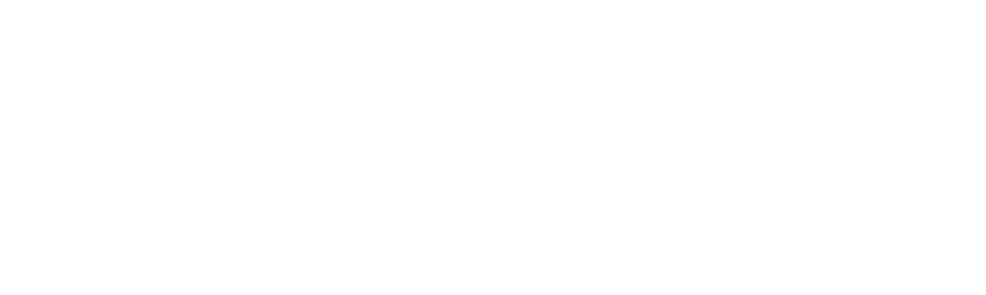 Logo #MUVL4future